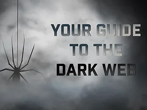 your guide to the dark web